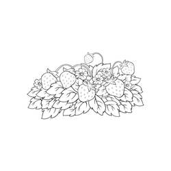 Dessin à colorier: Fraise (Alimentation et Nutrition) #186958 - Coloriages à Imprimer Gratuits