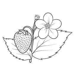 Dessin à colorier: Fraise (Alimentation et Nutrition) #186967 - Coloriages à Imprimer Gratuits