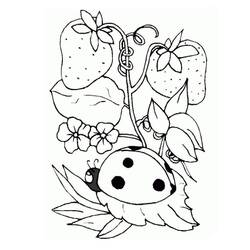 Dessin à colorier: Fraise (Alimentation et Nutrition) #186975 - Coloriages à Imprimer Gratuits