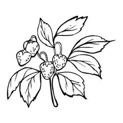 Dessin à colorier: Fraise (Alimentation et Nutrition) #186978 - Coloriages à Imprimer Gratuits