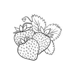 Dessin à colorier: Fraise (Alimentation et Nutrition) #186982 - Coloriages à Imprimer Gratuits
