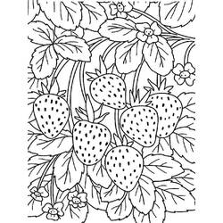 Dessin à colorier: Fraise (Alimentation et Nutrition) #186985 - Coloriages à Imprimer Gratuits