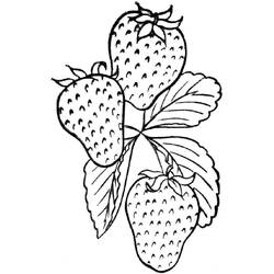 Dessin à colorier: Fraise (Alimentation et Nutrition) #186987 - Coloriages à Imprimer Gratuits