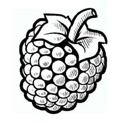 Dessins à colorier: Framboise - Coloriages à Imprimer Gratuits