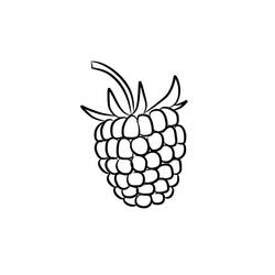 Dessin à colorier: Framboise (Alimentation et Nutrition) #214011 - Coloriages à Imprimer Gratuits