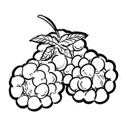 Dessin à colorier: Framboise (Alimentation et Nutrition) #214012 - Coloriages à Imprimer Gratuits