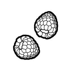Dessin à colorier: Framboise (Alimentation et Nutrition) #214013 - Coloriages à Imprimer Gratuits