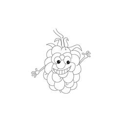 Dessin à colorier: Framboise (Alimentation et Nutrition) #214015 - Coloriages à Imprimer Gratuits