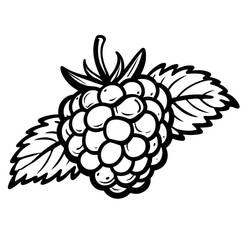 Dessin à colorier: Framboise (Alimentation et Nutrition) #214016 - Coloriages à Imprimer Gratuits