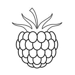 Dessin à colorier: Framboise (Alimentation et Nutrition) #214017 - Coloriages à Imprimer Gratuits