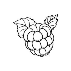 Dessin à colorier: Framboise (Alimentation et Nutrition) #214021 - Coloriages à Imprimer Gratuits
