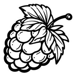 Dessin à colorier: Framboise (Alimentation et Nutrition) #214022 - Coloriages à Imprimer Gratuits