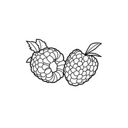 Dessin à colorier: Framboise (Alimentation et Nutrition) #214032 - Coloriages à Imprimer Gratuits