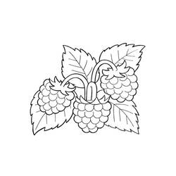 Dessin à colorier: Framboise (Alimentation et Nutrition) #214034 - Coloriages à Imprimer Gratuits