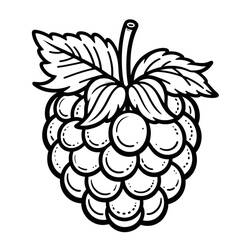 Dessin à colorier: Framboise (Alimentation et Nutrition) #214036 - Coloriages à Imprimer Gratuits