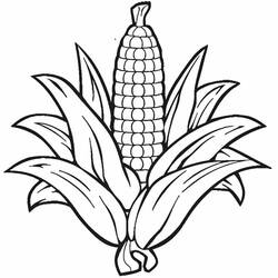 Dessin à colorier: Maïs (Alimentation et Nutrition) #207442 - Coloriages à Imprimer Gratuits
