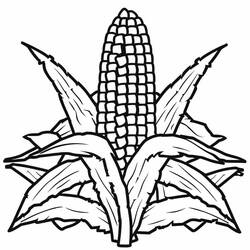 Dessin à colorier: Maïs (Alimentation et Nutrition) #207443 - Coloriages à Imprimer Gratuits