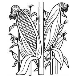 Dessin à colorier: Maïs (Alimentation et Nutrition) #207444 - Coloriages à Imprimer Gratuits