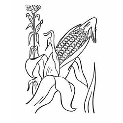 Dessin à colorier: Maïs (Alimentation et Nutrition) #207452 - Coloriages à Imprimer Gratuits