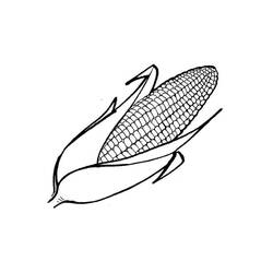 Dessin à colorier: Maïs (Alimentation et Nutrition) #207458 - Coloriages à Imprimer Gratuits