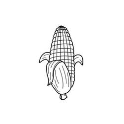 Dessin à colorier: Maïs (Alimentation et Nutrition) #207460 - Coloriages à Imprimer Gratuits