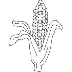 Dessin à colorier: Maïs (Alimentation et Nutrition) #207462 - Coloriages à Imprimer Gratuits
