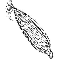 Dessin à colorier: Maïs (Alimentation et Nutrition) #207464 - Coloriages à Imprimer Gratuits