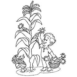 Dessin à colorier: Maïs (Alimentation et Nutrition) #207466 - Coloriages à Imprimer Gratuits