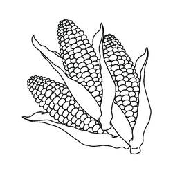 Dessin à colorier: Maïs (Alimentation et Nutrition) #207467 - Coloriages à Imprimer Gratuits
