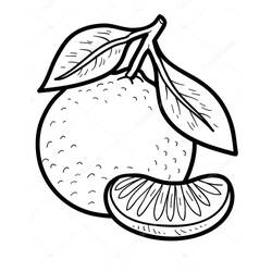 Dessin à colorier: Orange (Alimentation et Nutrition) #208636 - Coloriages à Imprimer Gratuits