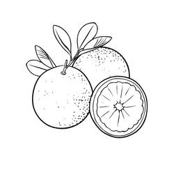 Dessin à colorier: Orange (Alimentation et Nutrition) #208649 - Coloriages à Imprimer Gratuits
