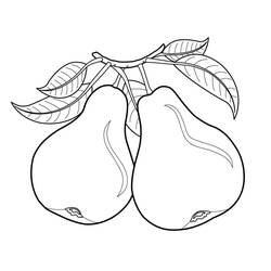 Dessin à colorier: Poire (Alimentation et Nutrition) #203748 - Coloriages à Imprimer Gratuits