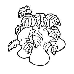 Dessin à colorier: Poire (Alimentation et Nutrition) #203749 - Coloriages à Imprimer Gratuits