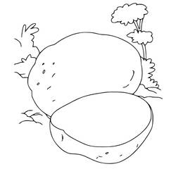 Dessin à colorier: Pomme de terre (Alimentation et Nutrition) #207413 - Coloriages à Imprimer Gratuits