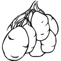 Dessin à colorier: Pomme de terre (Alimentation et Nutrition) #207435 - Coloriages à Imprimer Gratuits