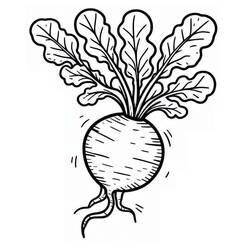 Dessin à colorier: Radis (Alimentation et Nutrition) #220965 - Coloriages à Imprimer Gratuits
