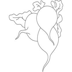 Dessin à colorier: Radis (Alimentation et Nutrition) #220977 - Coloriages à Imprimer Gratuits