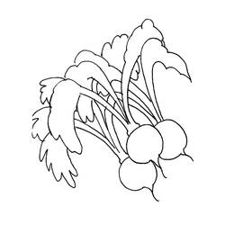 Dessin à colorier: Radis (Alimentation et Nutrition) #220979 - Coloriages à Imprimer Gratuits
