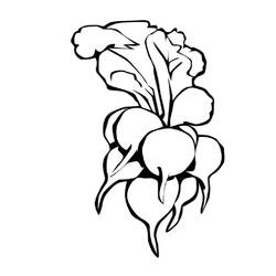 Dessin à colorier: Radis (Alimentation et Nutrition) #220980 - Coloriages à Imprimer Gratuits