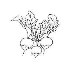 Dessin à colorier: Radis (Alimentation et Nutrition) #220985 - Coloriages à Imprimer Gratuits