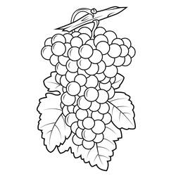 Dessin à colorier: Raisins (Alimentation et Nutrition) #212398 - Coloriages à Imprimer Gratuits