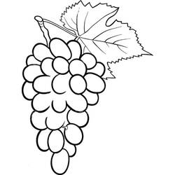 Dessin à colorier: Raisins (Alimentation et Nutrition) #212405 - Coloriages à Imprimer Gratuits