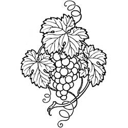 Dessin à colorier: Raisins (Alimentation et Nutrition) #212406 - Coloriages à Imprimer Gratuits