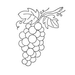 Dessin à colorier: Raisins (Alimentation et Nutrition) #212411 - Coloriages à Imprimer Gratuits
