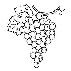Dessin à colorier: Raisins (Alimentation et Nutrition) #212412 - Coloriages à Imprimer Gratuits