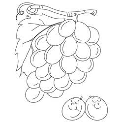 Dessin à colorier: Raisins (Alimentation et Nutrition) #212414 - Coloriages à Imprimer Gratuits