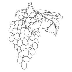 Dessin à colorier: Raisins (Alimentation et Nutrition) #212415 - Coloriages à Imprimer Gratuits
