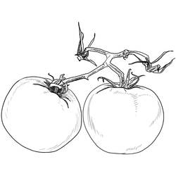 Dessin à colorier: Tomate (Alimentation et Nutrition) #195371 - Coloriages à Imprimer Gratuits