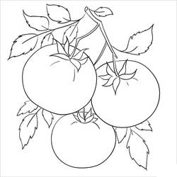 Dessin à colorier: Tomate (Alimentation et Nutrition) #195380 - Coloriages à Imprimer Gratuits