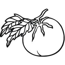 Dessin à colorier: Tomate (Alimentation et Nutrition) #195385 - Coloriages à Imprimer Gratuits